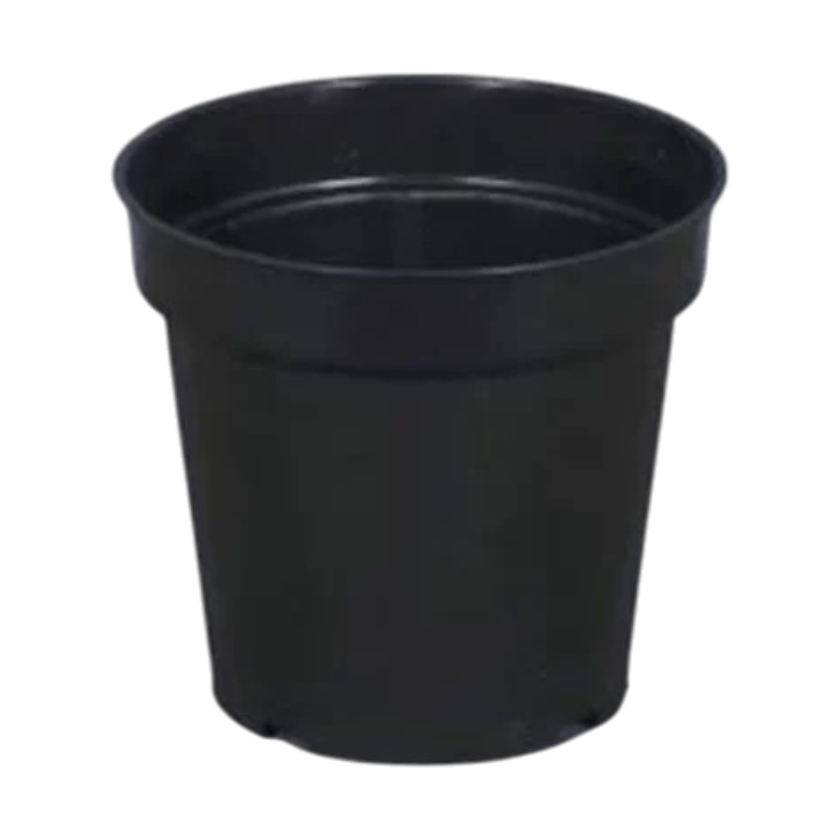 5.5" Without Collar Nursery Pot